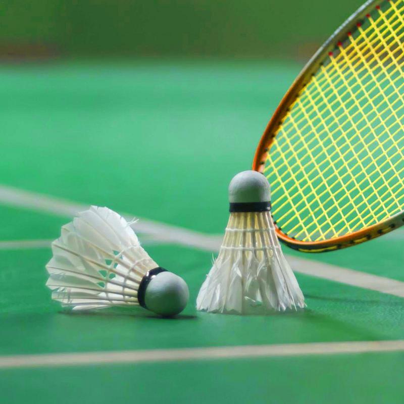 ลูกแบดมินตันความเร็วสูงลูกขนไก - Badminton Raket บทวิจารณ์และราคา