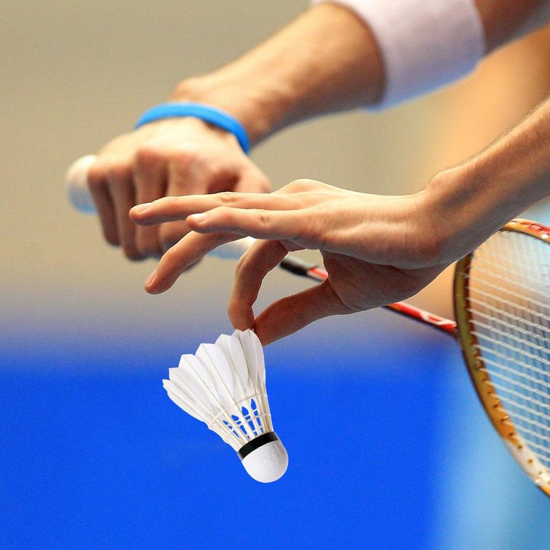 ลูกแบดมินตันความเร็วสูงลูกขนไก - Badminton Raket บทวิจารณ์และราคา
