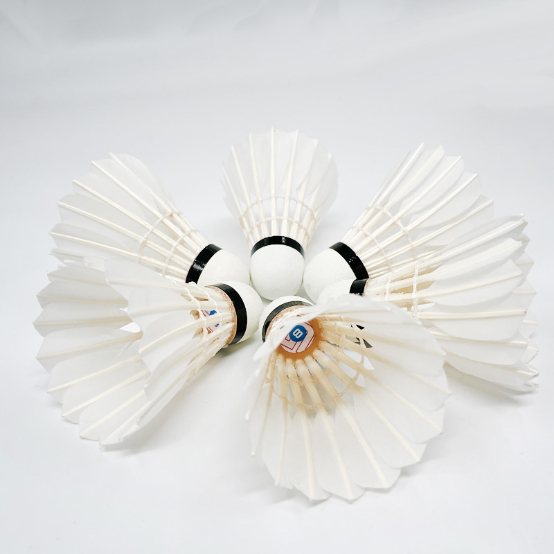 ขนนกห่าน G8 สำหรับแบดมินตันแบบ - Badminton Championship บทวิจารณ์และราคา